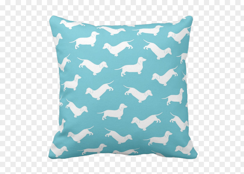 Pillow Throw Pillows Turquoise PNG