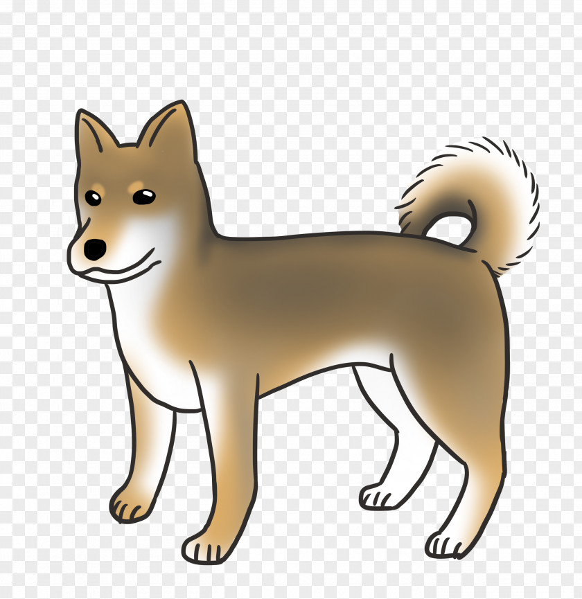 Puppy Finnish Spitz Shiba Inu Canaan Dog Norwegian Lundehund Buhund PNG