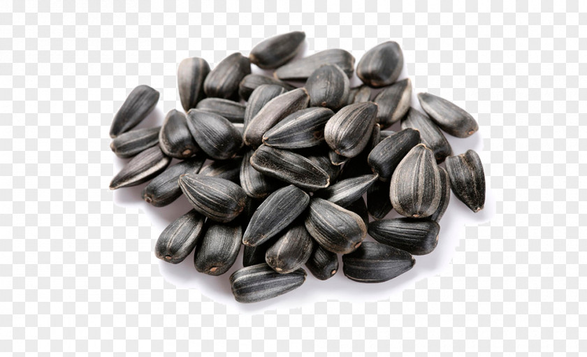 Sunflower Seeds Common Seed Oil PNG
