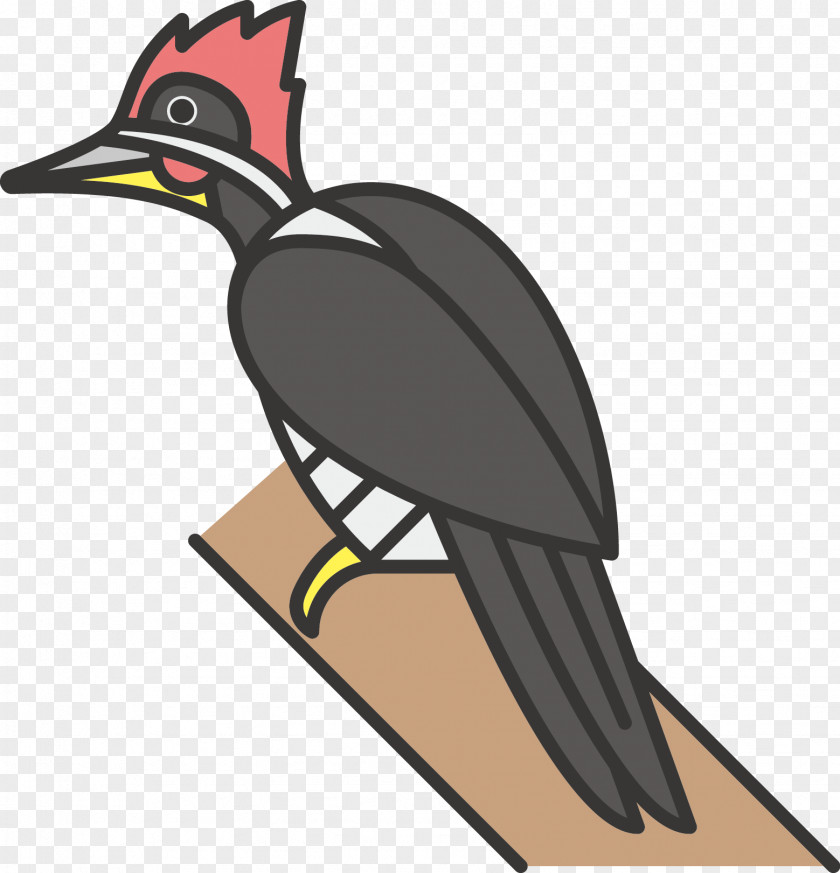 Birds Bird Icon PNG