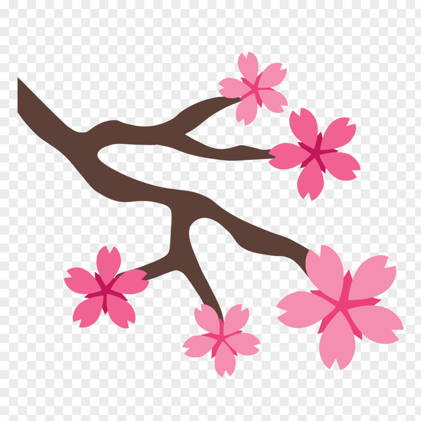 BLOSSOM Cherry Blossom Clip Art PNG