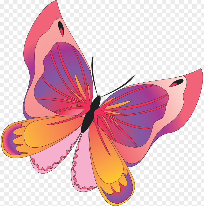 Butterfly Monarch Clip Art File Format PNG