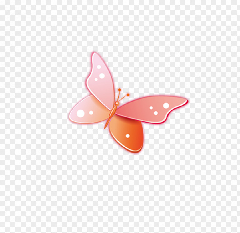 Butterfly Pattern PNG