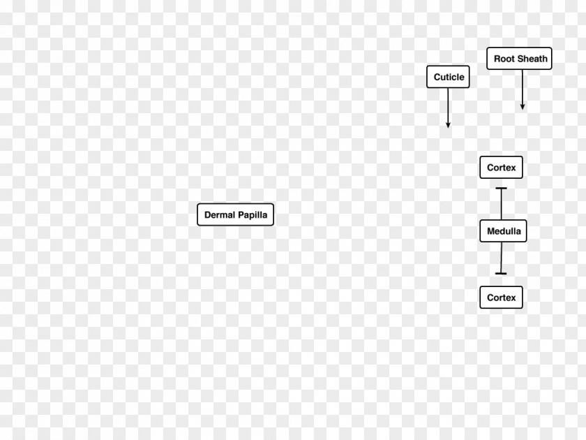 Design Document Line Angle PNG