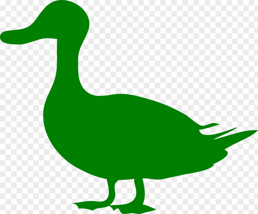 Duck Mallard Royalty-free Clip Art PNG