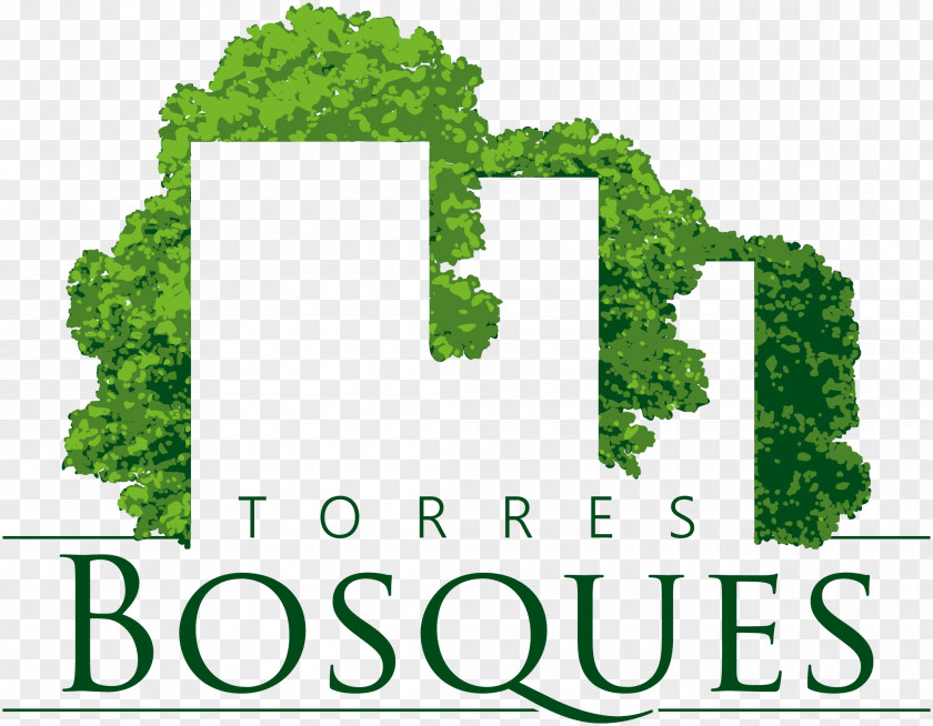 House Torres Bosques Apartment Bathroom Real Estate PNG