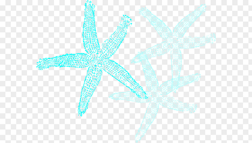 Starfish Blue Sand Dollar Clip Art PNG