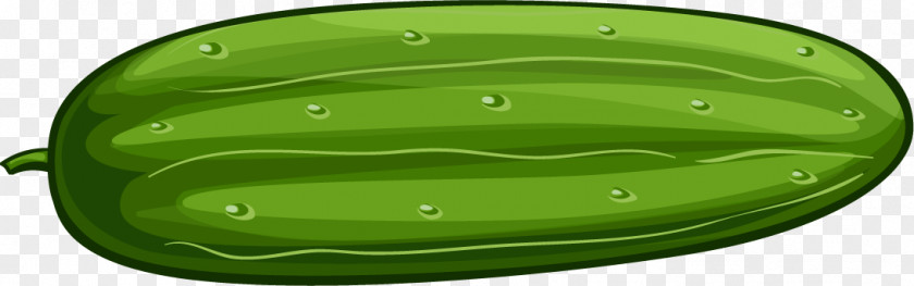 Vector Cartoon Green Bitter Melon Cucumber PNG
