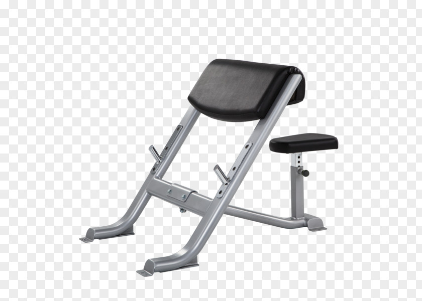 American Curl Bench Biceps Chair PNG