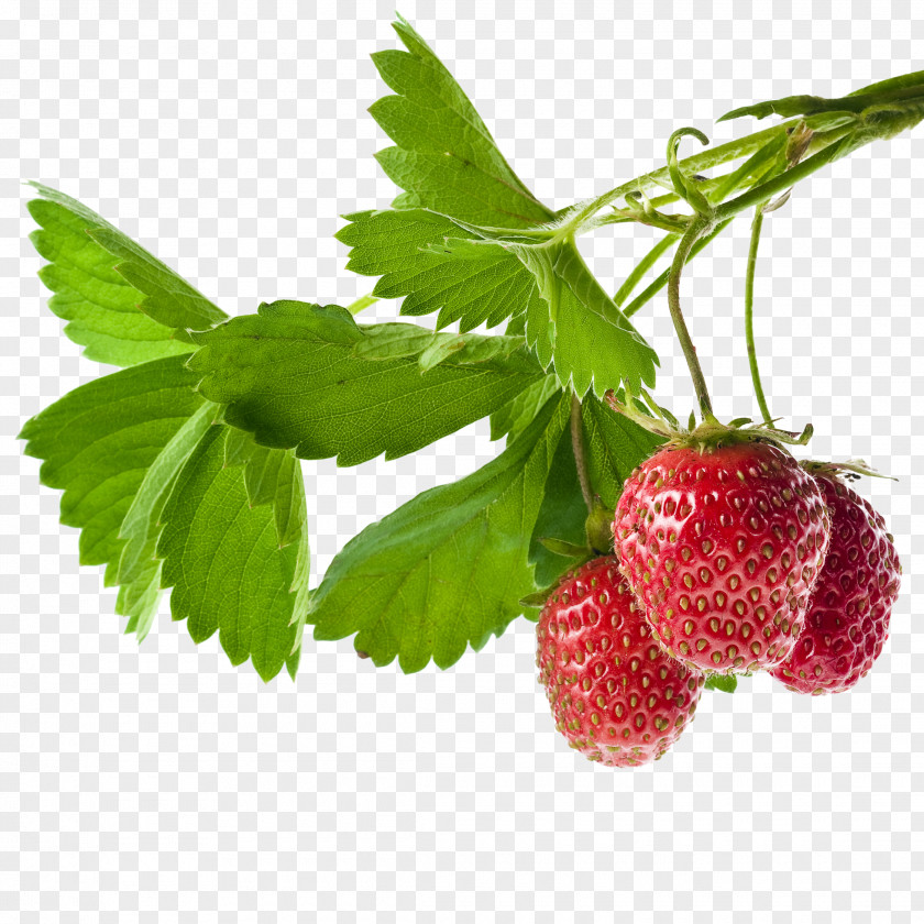 Strawberry Food Fruit PNG