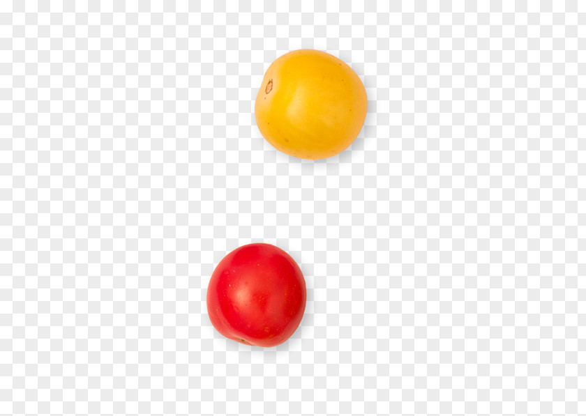 Tomates Fruit PNG