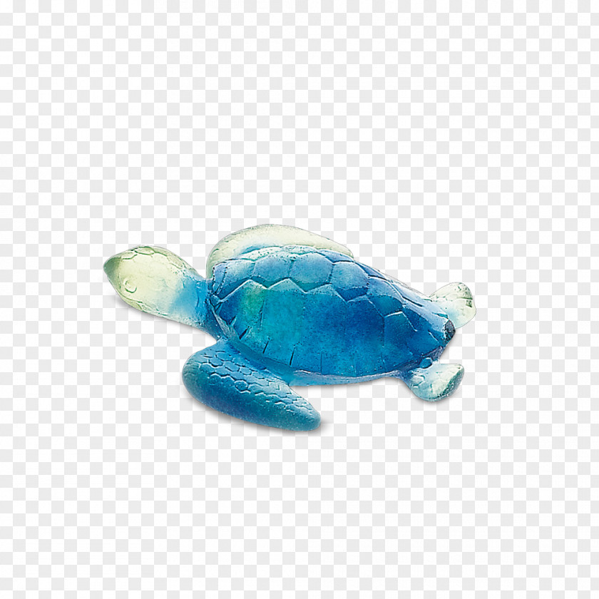Turtle Loggerhead Sea Green Archelon PNG