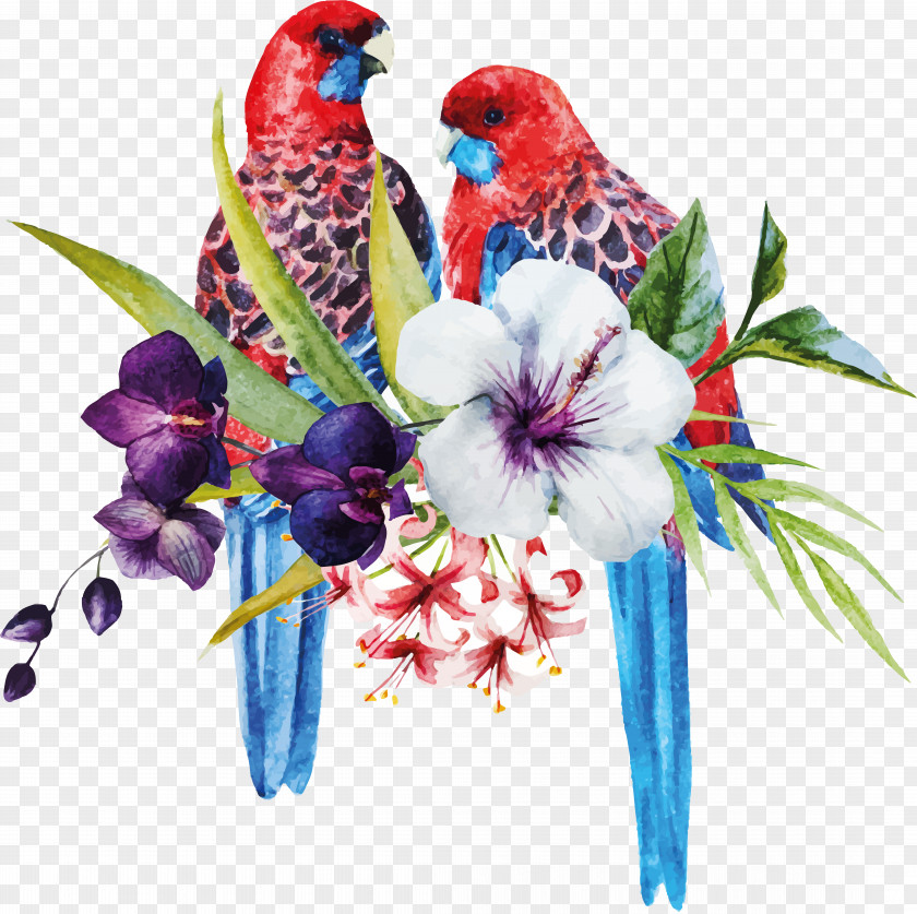Watercolor Bird Amazon Parrot PNG