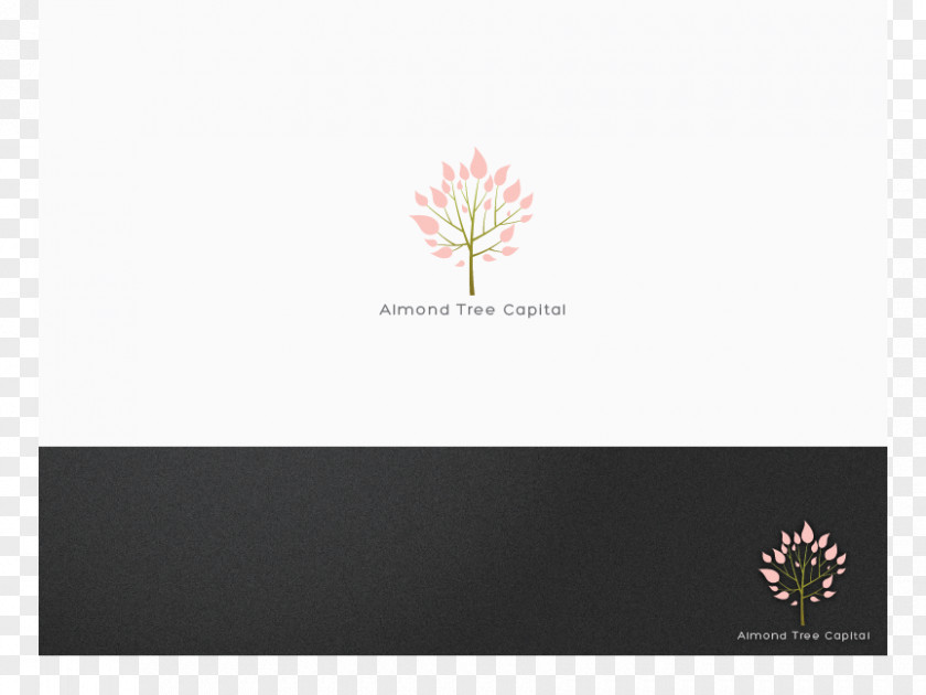 Acceleration Banner Logo Font Brand Desktop Wallpaper Computer PNG