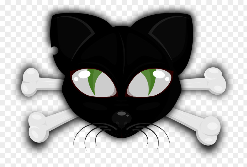 Cat Whiskers Clip Art PNG