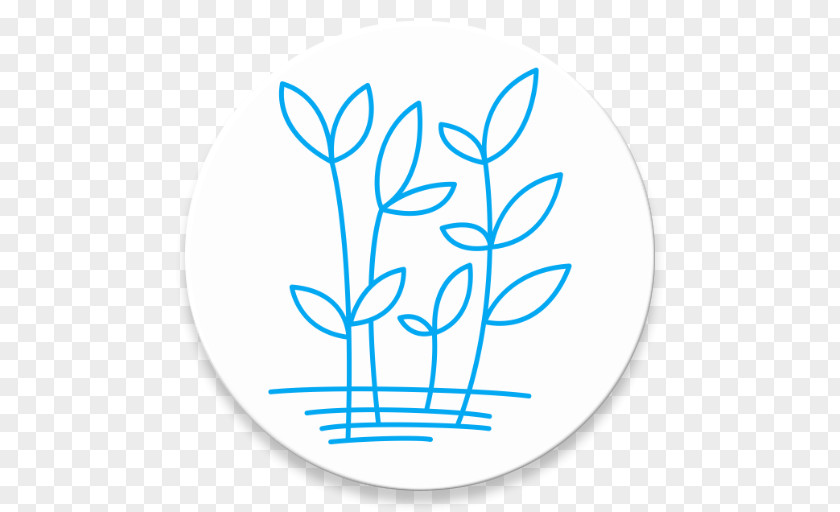 Spices Herbs Herbaceous Plant Coloring Book Drawing Page PNG