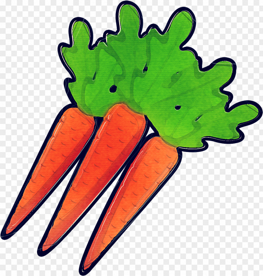 Vegetable Plant Leaf Carrot Clip Art PNG