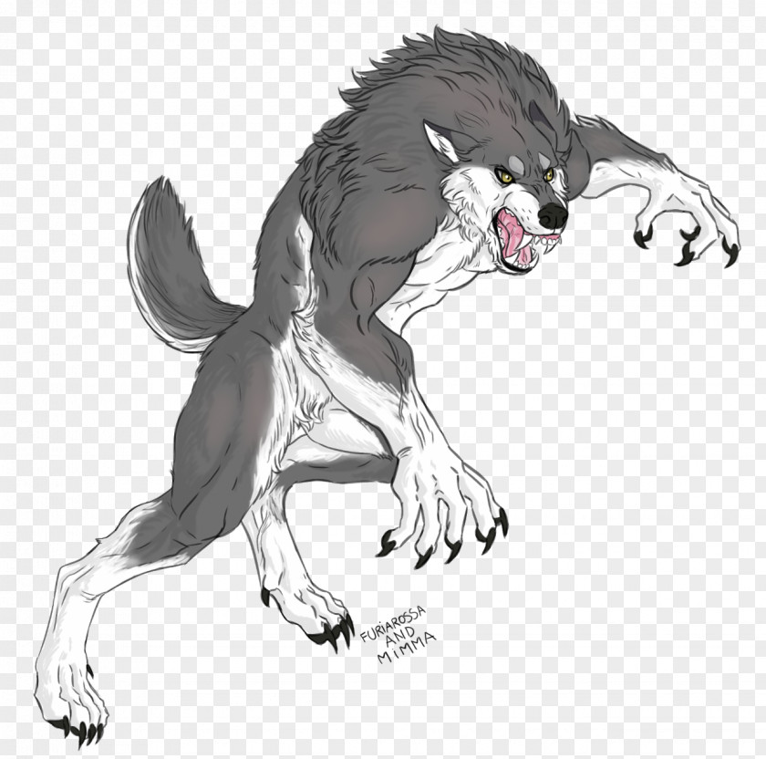 Cat Werewolf Digital Art Illustration PNG