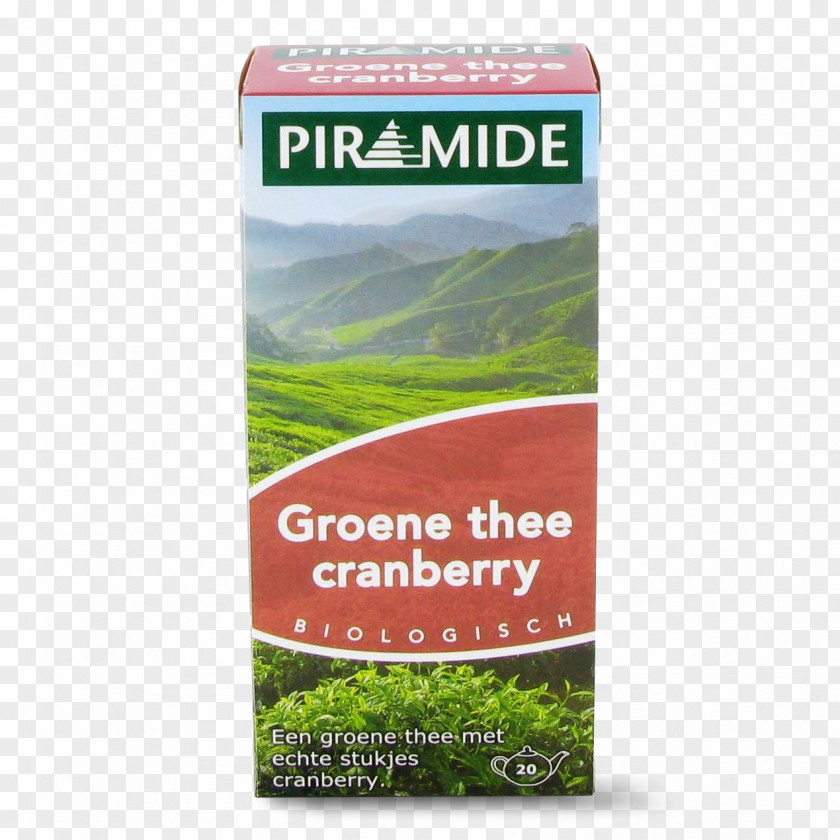 Green Tea White Sencha Pickwick PNG