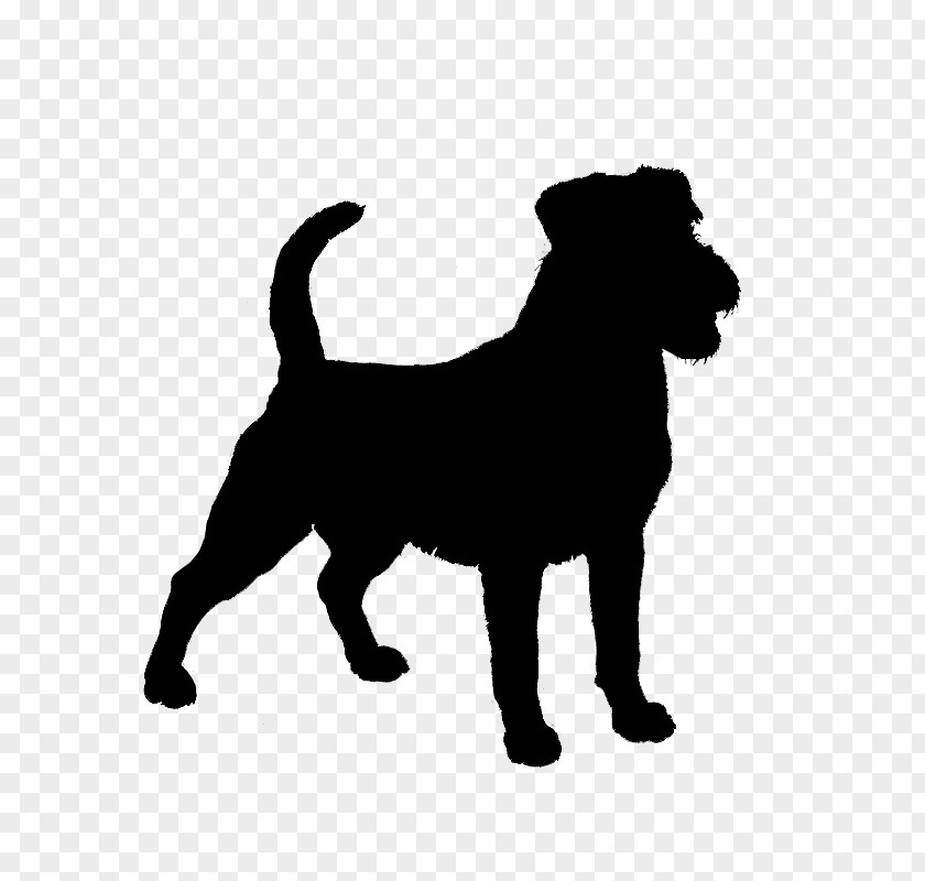 Norfolk Terrier Dog Silhouette PNG