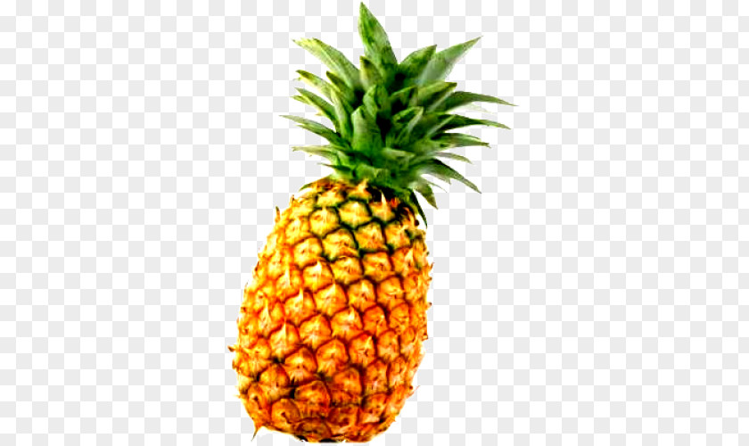 Pineapple Chutney Fruit PNG