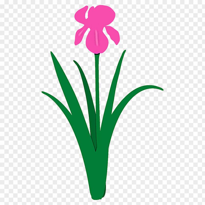 Plant Stem Grass Flower Petal Pedicel PNG