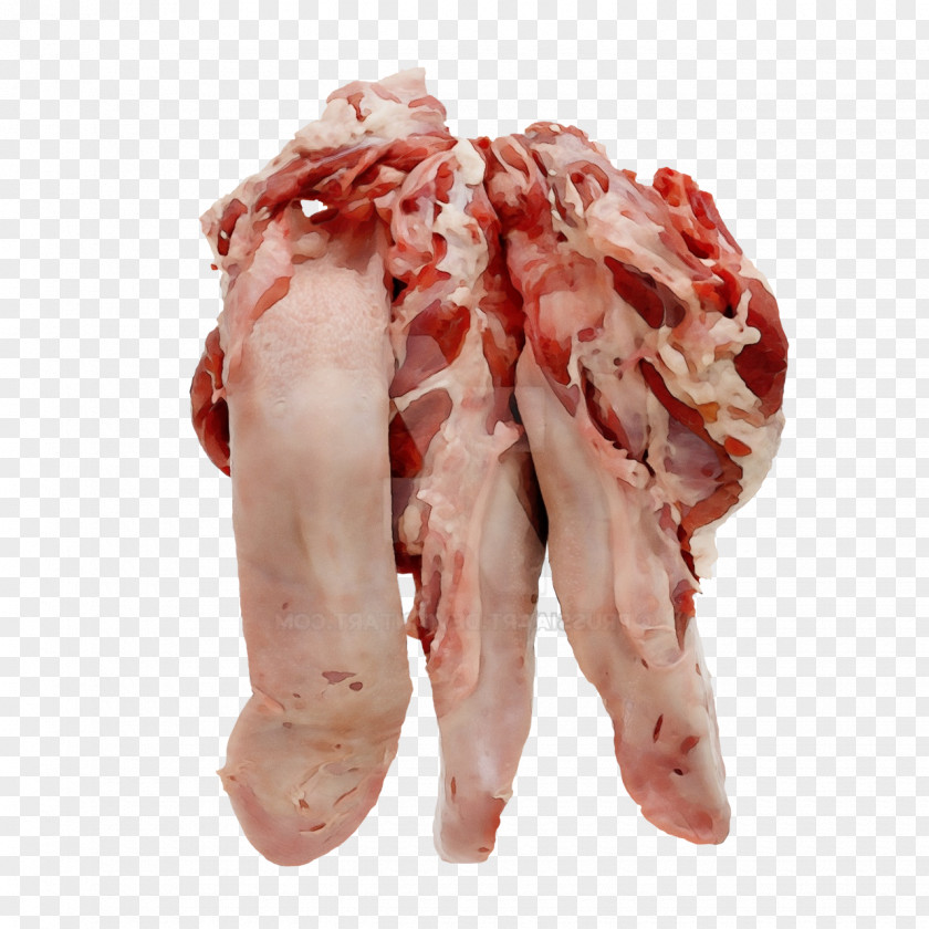 Red Meat Back Bacon Goat Veal Lamb PNG