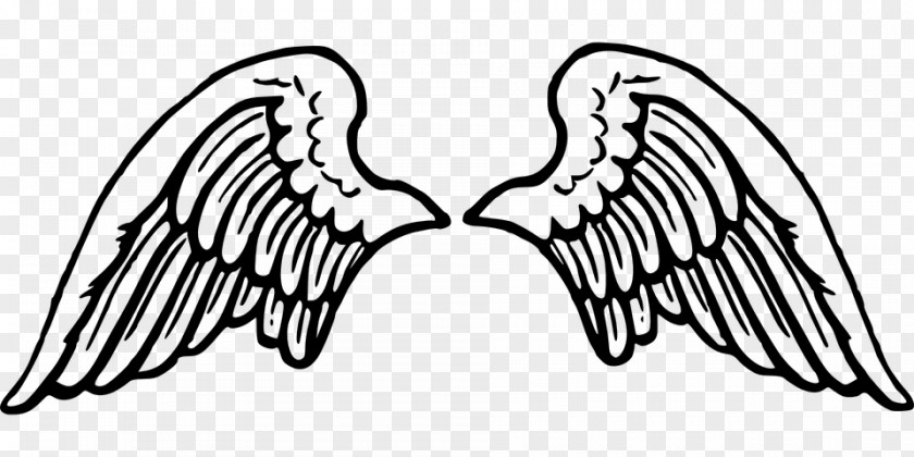 Wings Cartoon Drawing Clip Art PNG