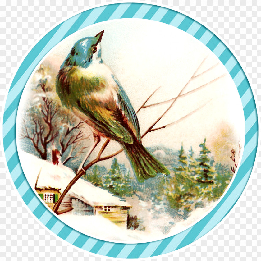 Bird Royalty-free Winter Clip Art PNG