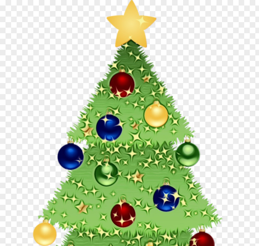 Fir Christmas Eve Tree PNG