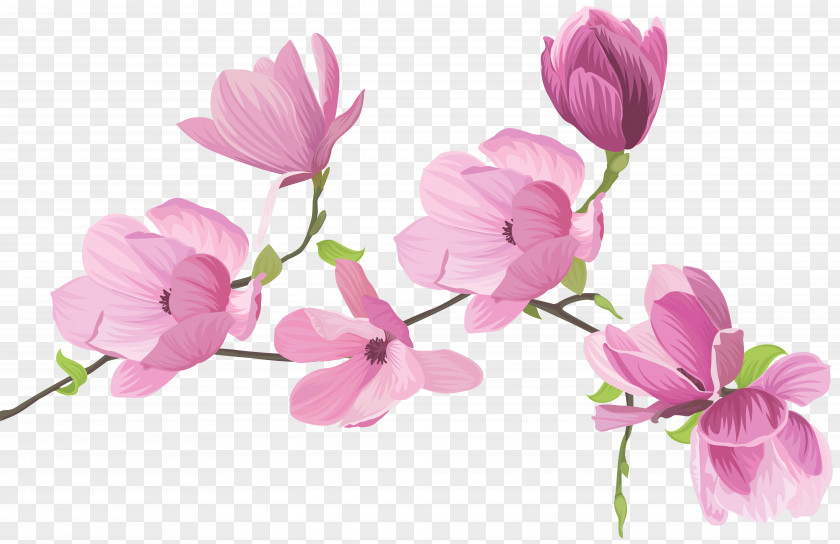 Spring Tree Flowers Clip Art Image Flower PNG