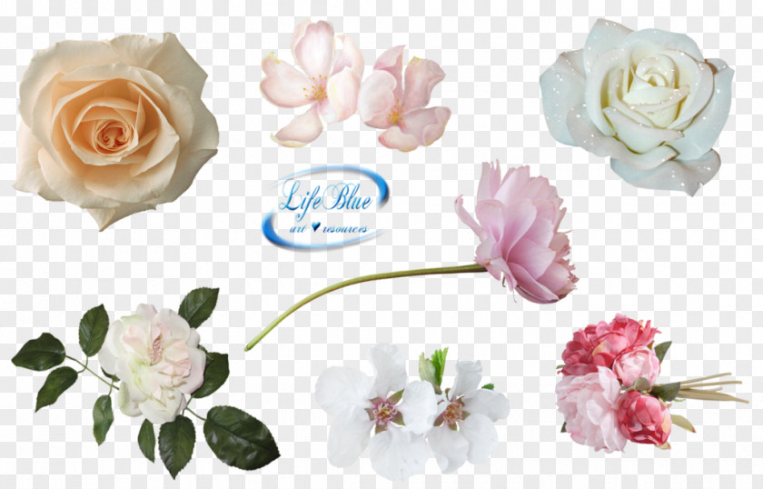 Beautiful Flower Garden Roses DeviantArt Clip Art PNG