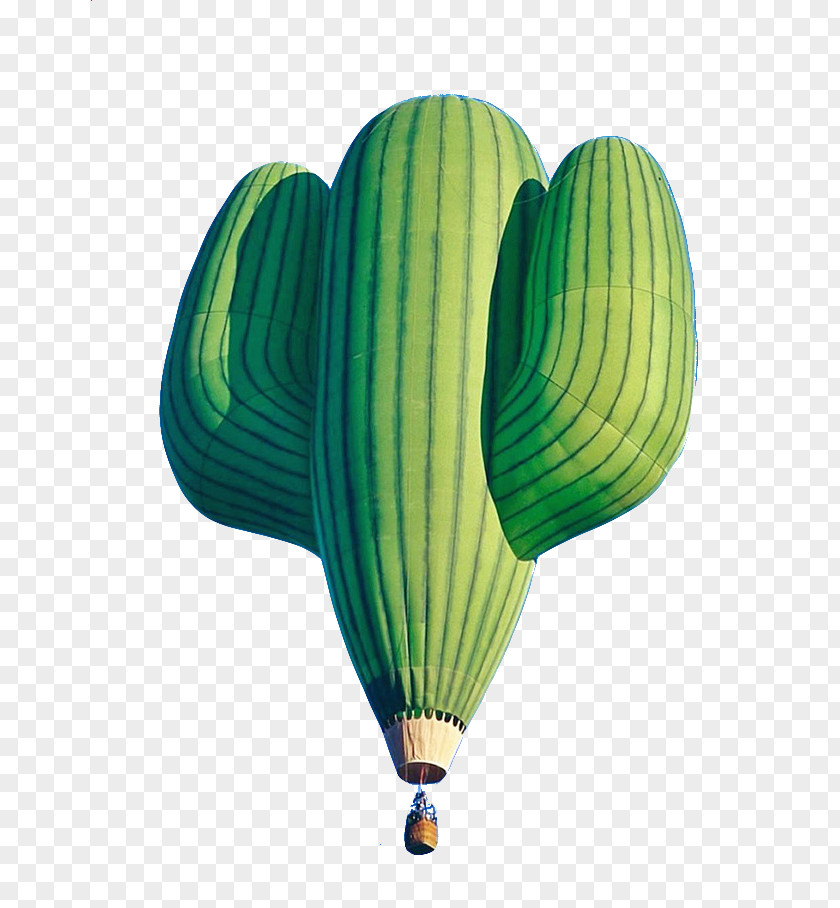 Cactus Hot Air Balloon Take Off It Blimp Flight Aviation PNG