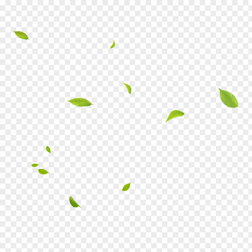 Floating Leaves Green Area Angle Pattern PNG