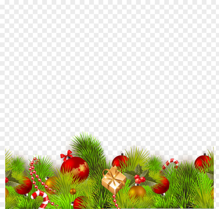 Flowers Christmas Download Computer File PNG