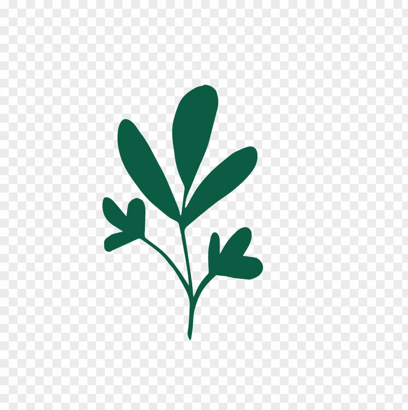 Leaf Logo Green Plant Stem Font PNG