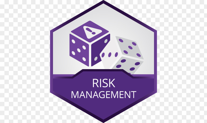Management Business Risk PNG