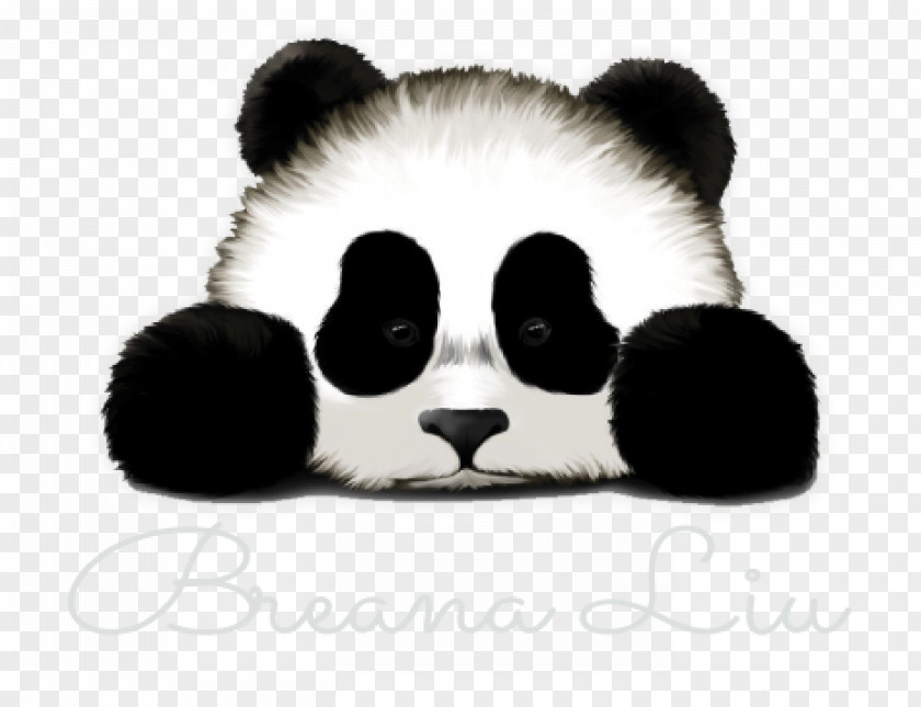 Panda Giant Sadness Cuteness T-shirt Drawing PNG