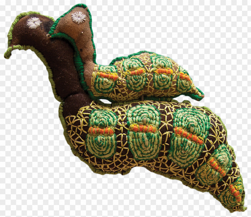 Aboriginal Tortoise Pond Turtles Product PNG