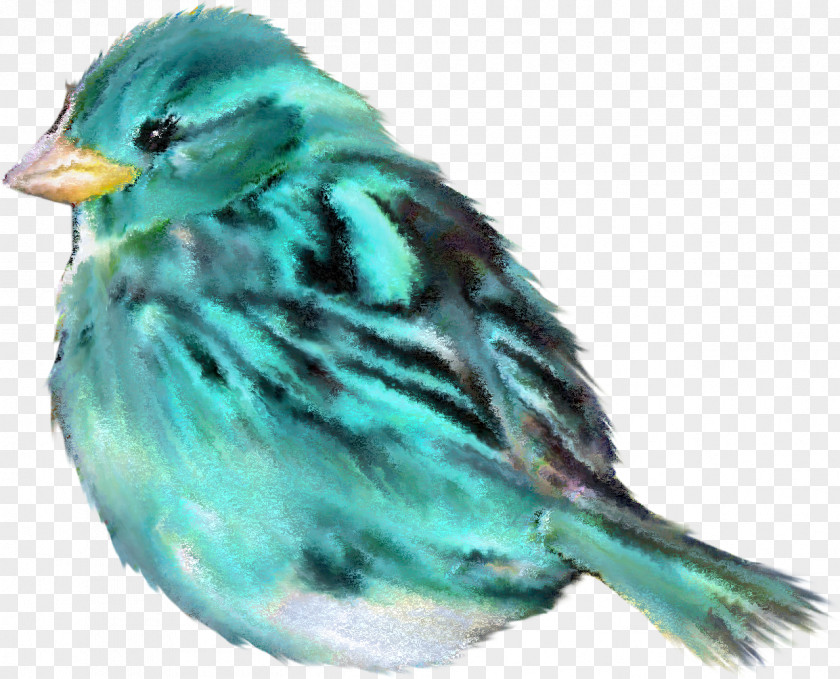 Birds Bird Sparrow Clip Art PNG