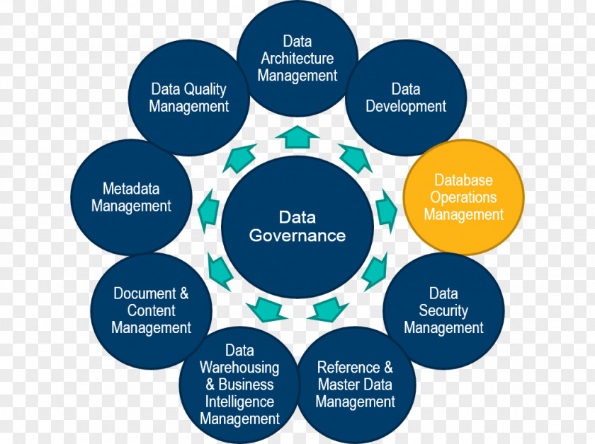Business Master Data Management Operations PNG
