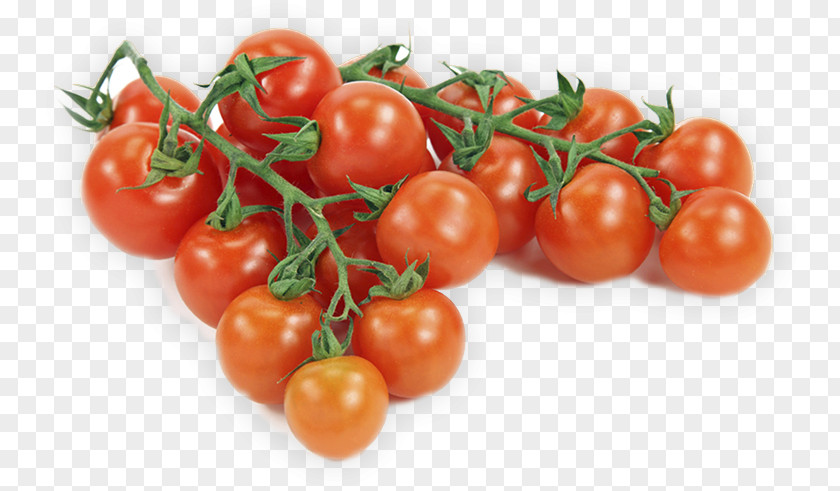 Canning Background Tomatoes Vegetable Fruit Produce Cherry Tomato Aubergines PNG