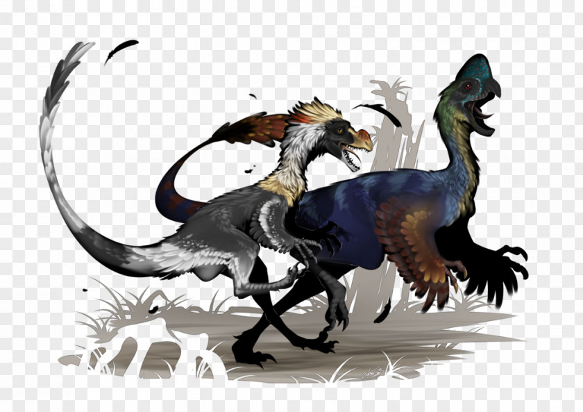Dinosaur Velociraptor Oviraptor Citipati Art PNG