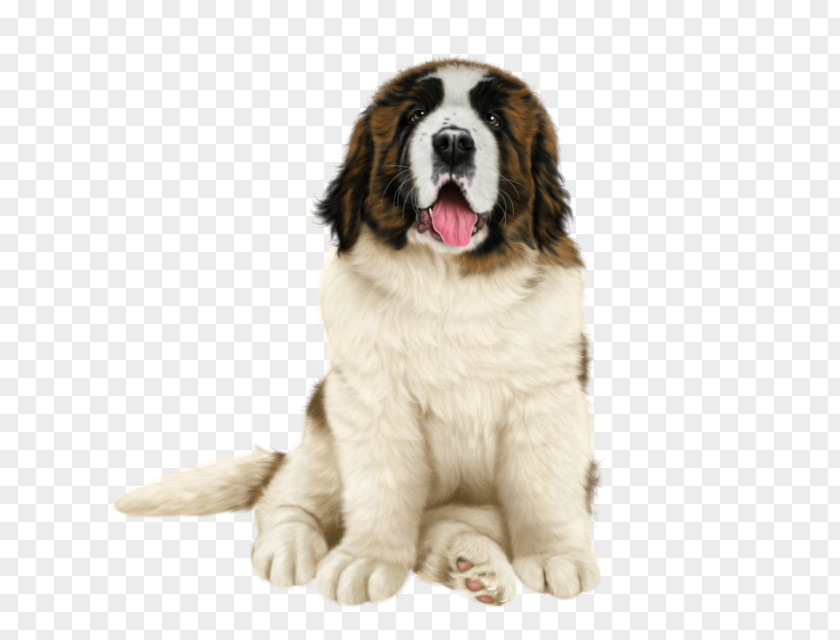 Newfoundland Dog Pyrenean Mastiff St. Bernard Breed Moscow Watchdog Landseer PNG