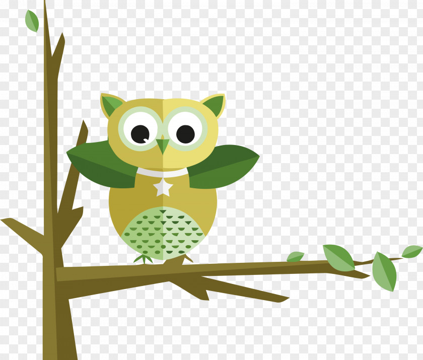 Owl Green Branch Cartoon Bird PNG