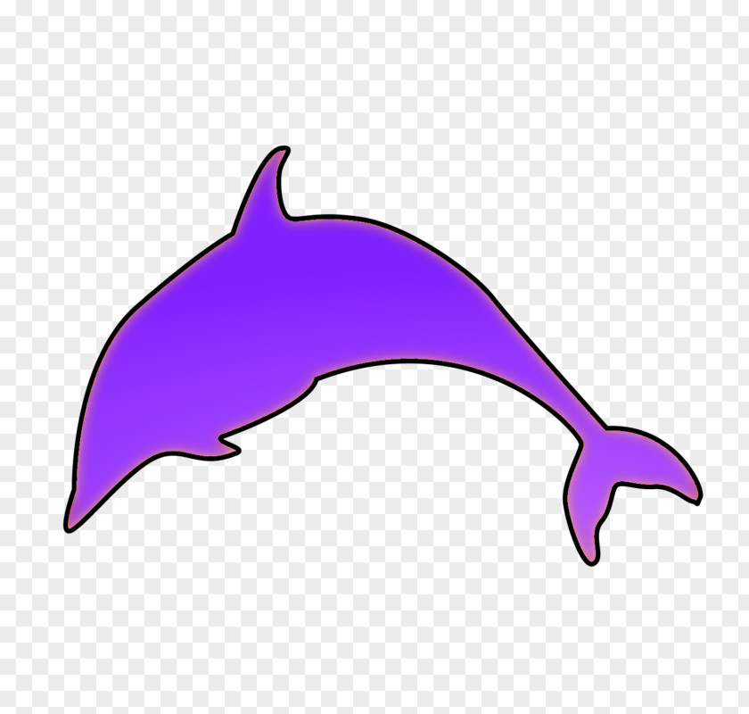 Beanie Common Bottlenose Dolphin Tucuxi Purple Cetacea PNG