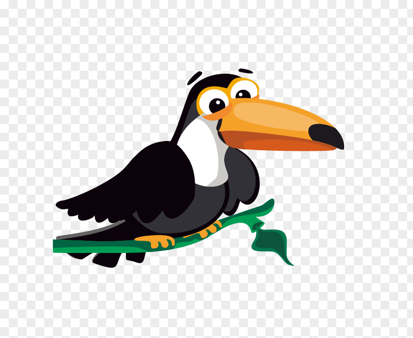 Crow Toucan Bird Cartoon Clip Art PNG