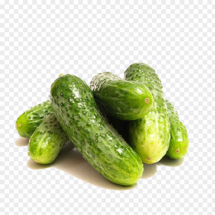 Cucumber Vegetable Clip Art PNG