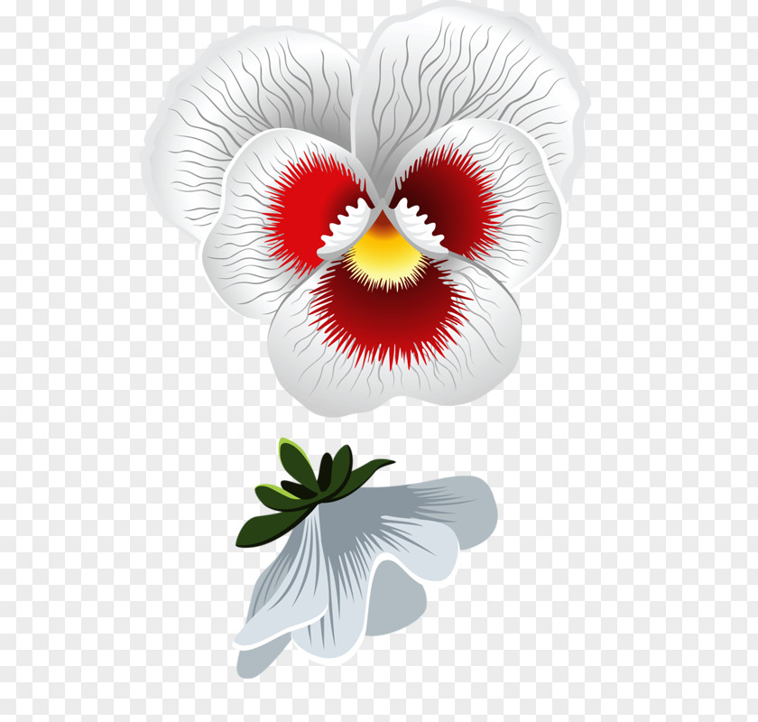 Flower Pansy Stock Photography Clip Art PNG