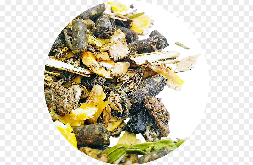 Multico Mussel Recipe Dish Network PNG